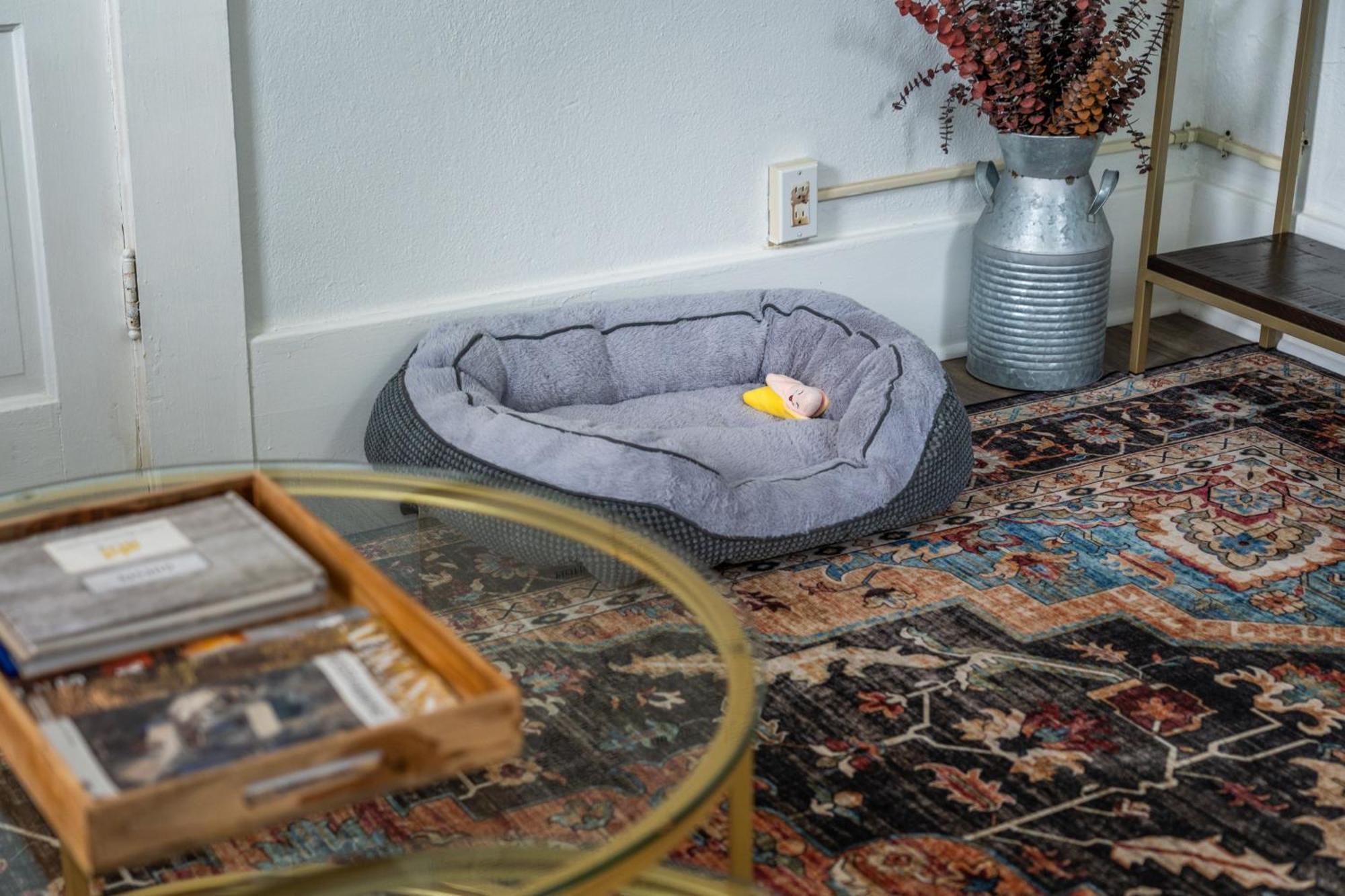 Cedar Blossom Bungalow Is A Cozy Getaway With A 5 Minute Walk To Downtown! Хот-Спрингс Экстерьер фото